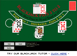 Blackjack Professor Program